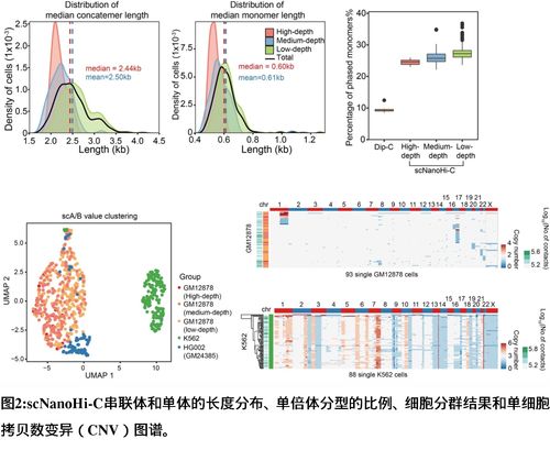 生物医学前沿创新中心汤富酬课题组开发出基于单分子测序平台的scnanohi c技术,可精准检测单细胞高阶染色...